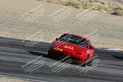 media/Feb-18-2024-Nasa AZ (Sun) [[891db5b212]]/7-Race Group A/Session 1 Turn 12 Exit-Bowl Entry/